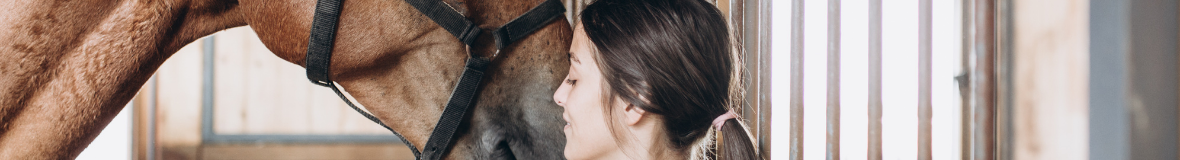Shampoings pour cheval