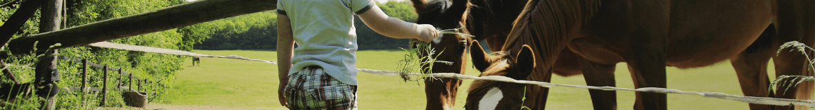 Transformation viande et lait