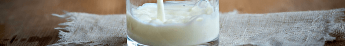 Bidons et pots à lait 