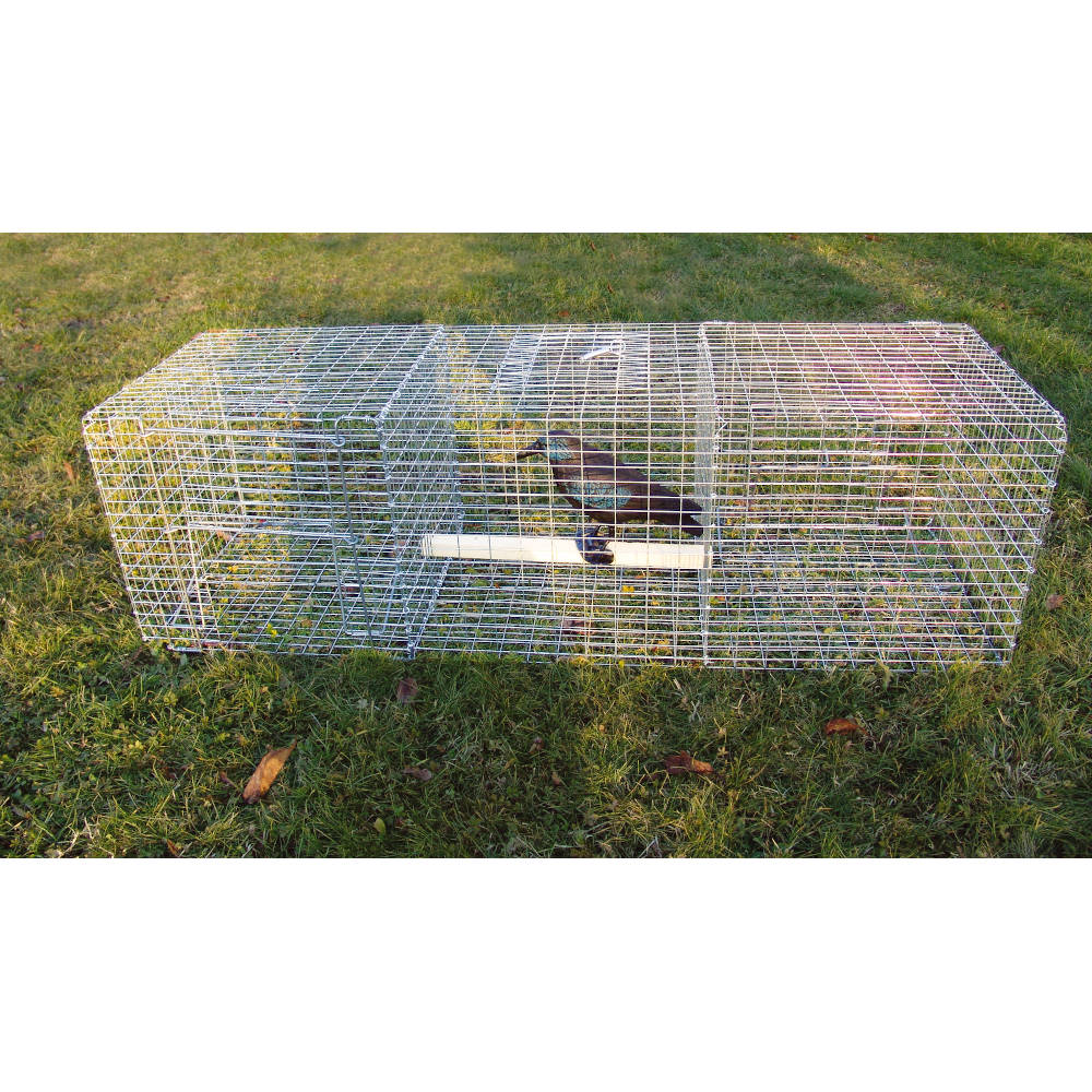 Piège cage à souris, 12 cm - Coffia