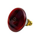 Ampoule infrarouge PAR 175 W rouge UKAL
