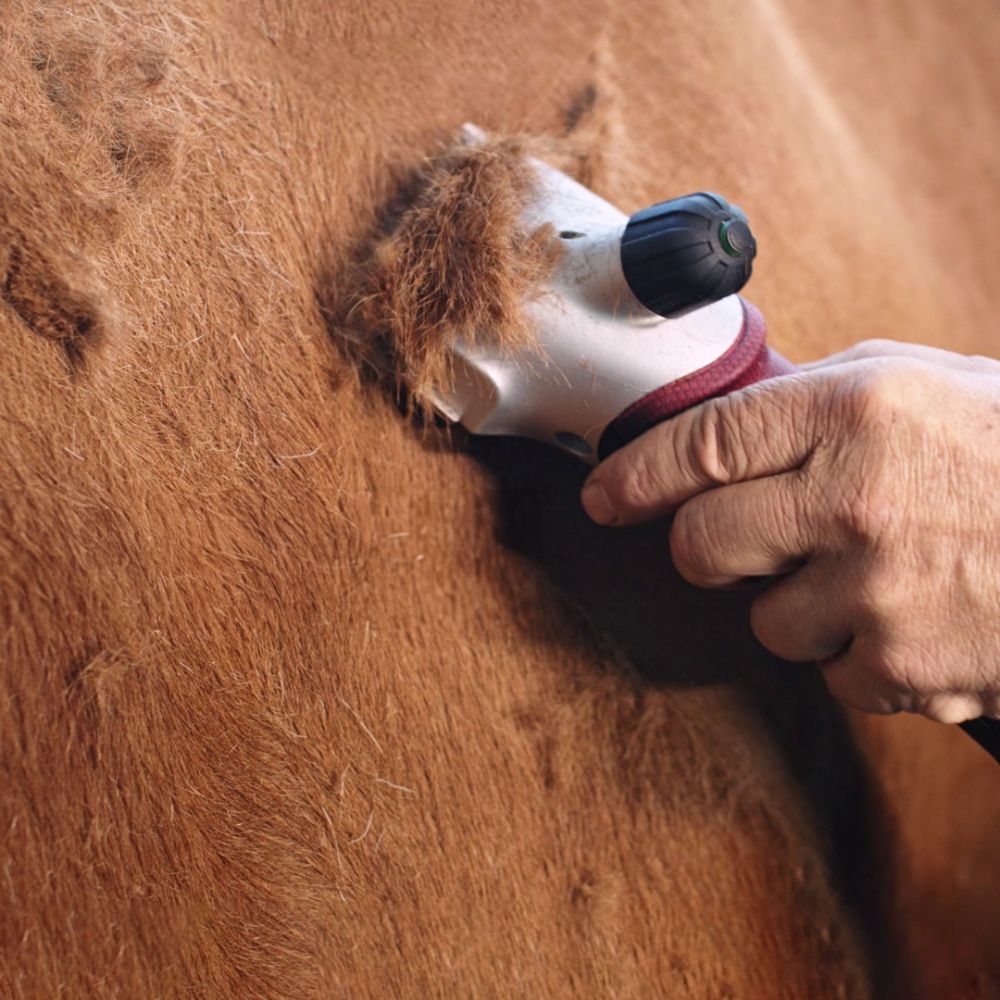 Tondeuse XPLORER PRO 2 vitesses sans fil