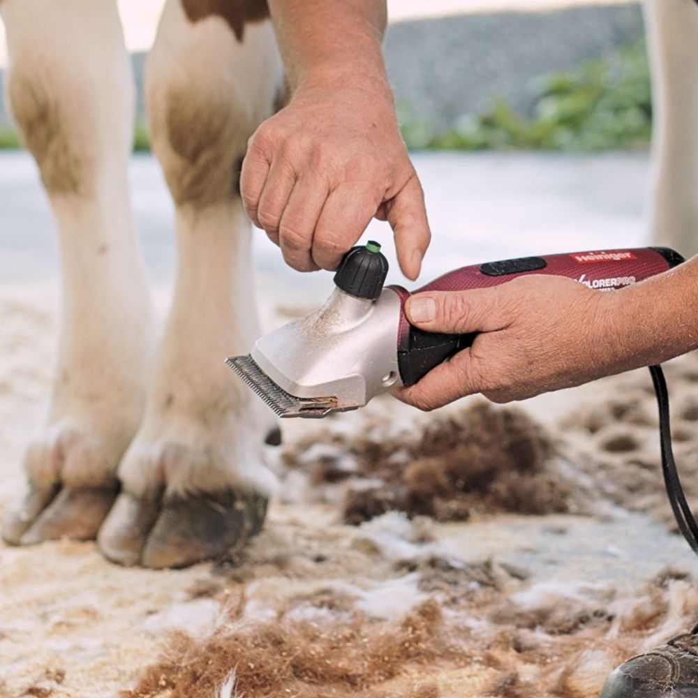 Tondeuse XPLORER PRO 2 vitesses sans fil