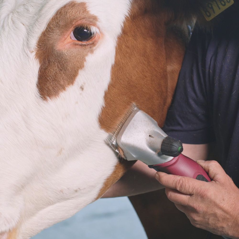 Tondeuse XPLORER PRO 2 vitesses sans fil