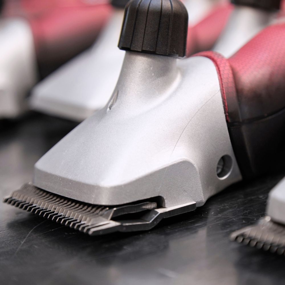 Tondeuse XPLORER PRO 2 vitesses sans fil