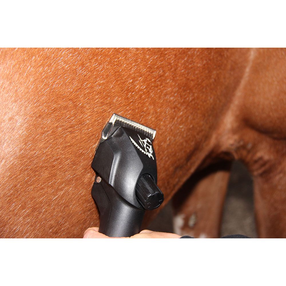 Tondeuse Heiniger PROGRESS 80 W