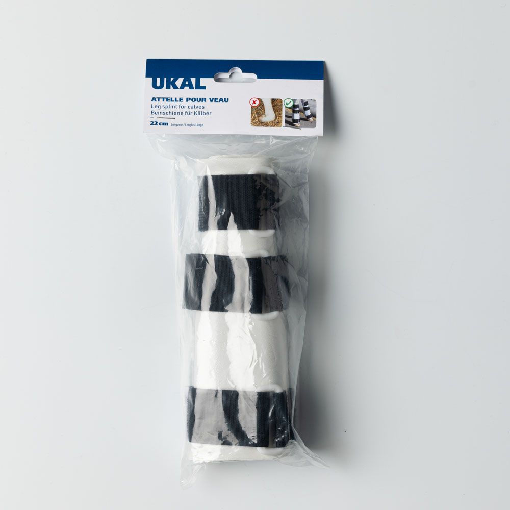 Attelle pour veau