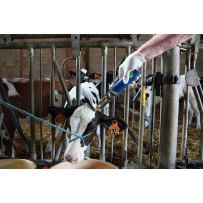 Ecorneur à gaz NETHORN + 2 cartouches gaz