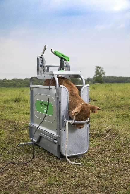 Écorneur Cosmos avec câble EXPRESS FARMING