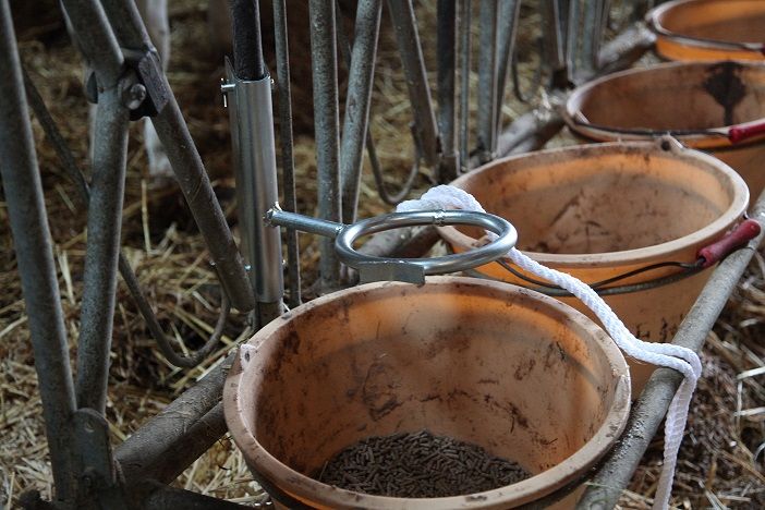 Anneau de contention pour veau
