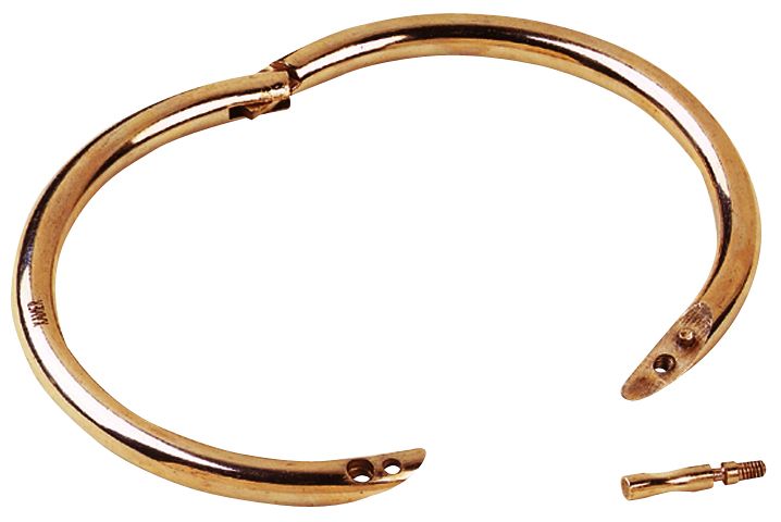 Anneau taureau en laiton diamètre 50 mm