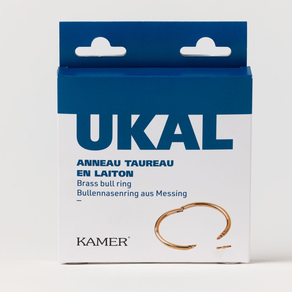 Anneau taureau en laiton diamètre 90 mm