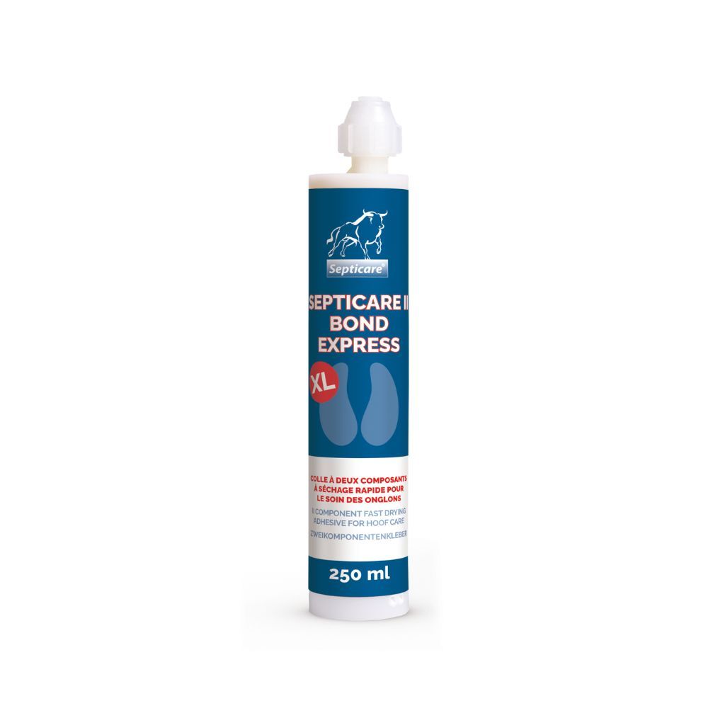 12 cartouches de colle 250 ml SEPTICARE II BOND EXPRESS XL