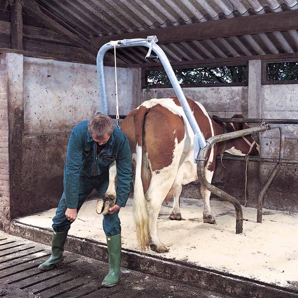 Portique pour soins du pied bovin VINK