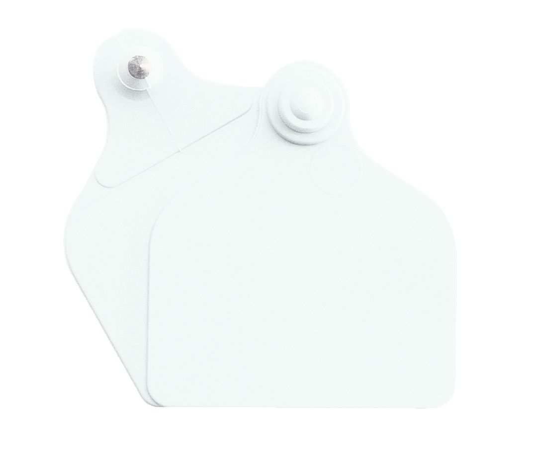 Boucles de marquage Ukal Flex maxi+maxi nue blanc x20