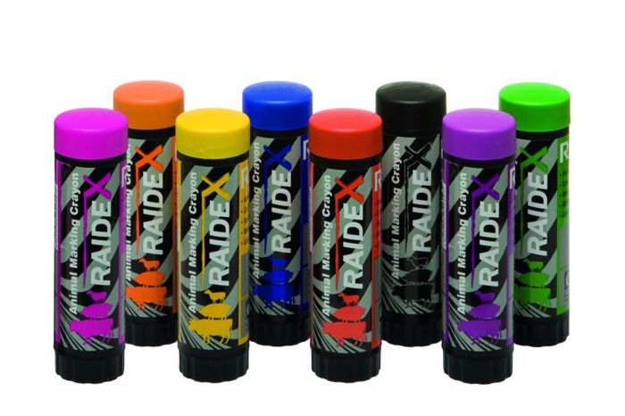 Crayon marqueur Raidex vert x10 