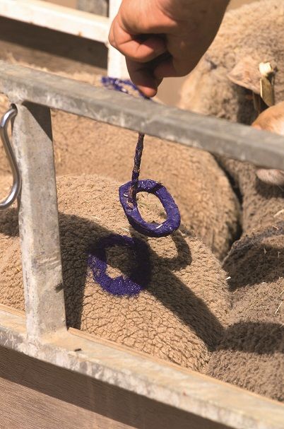 Série de numéros à marquer 0 à 9, 10 cm