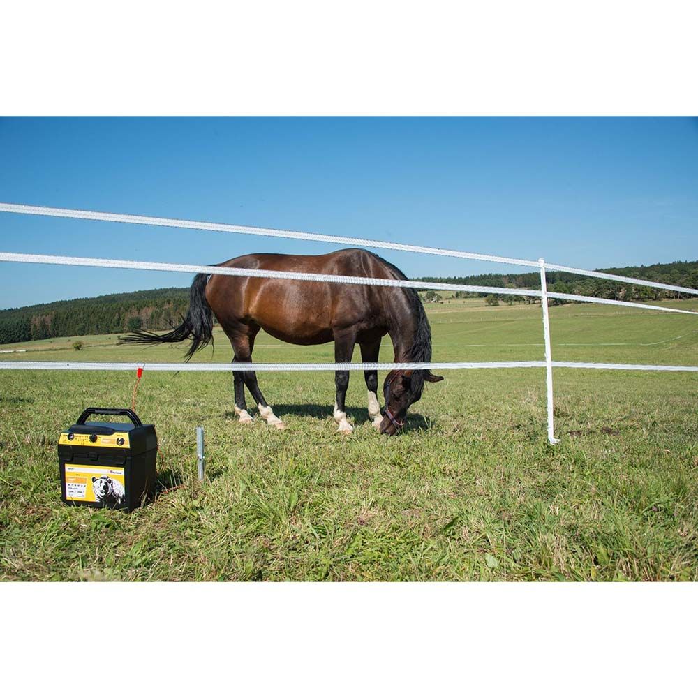 Poste mixte AN2000 et batterie 12 V 100 Ah