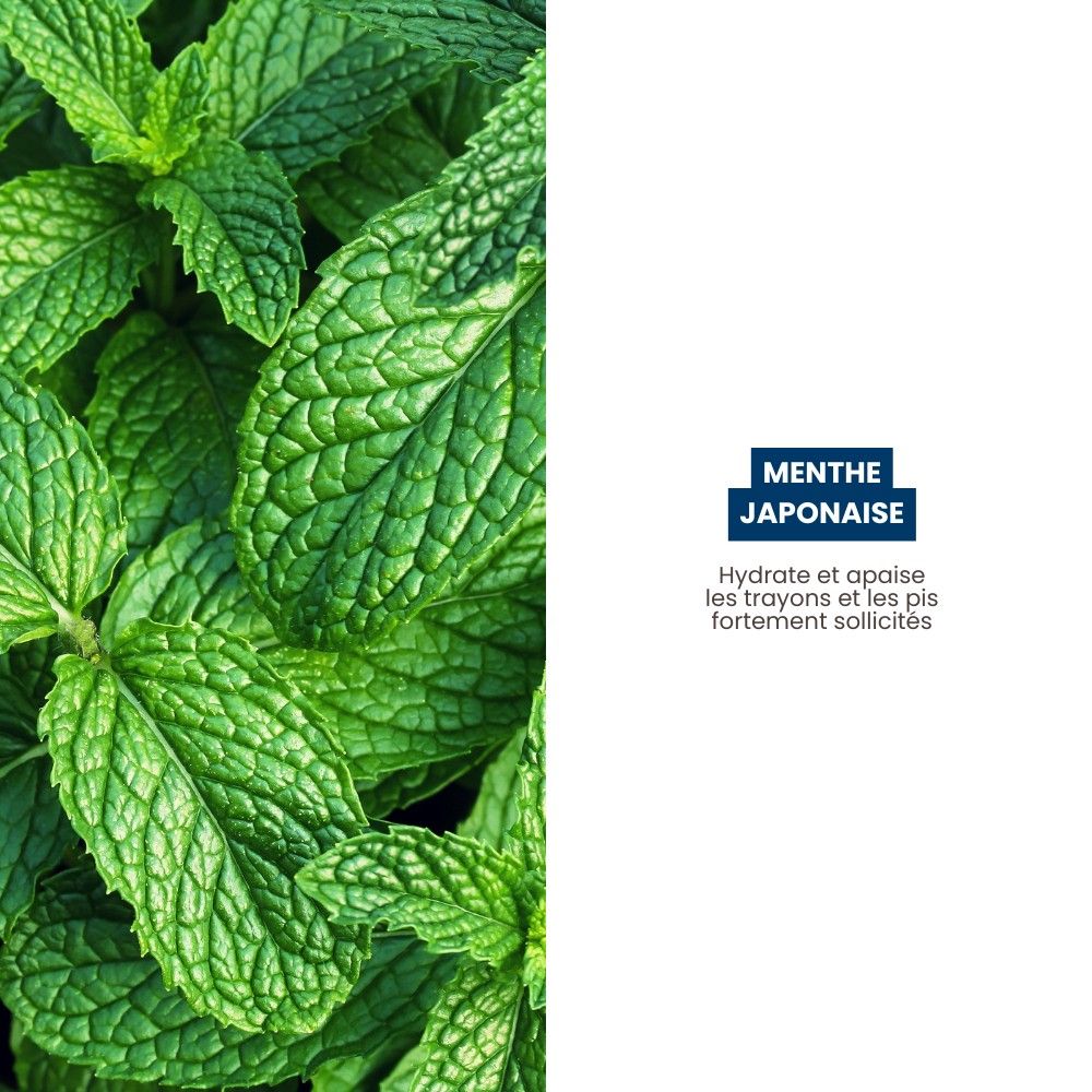 Soin apaisant et rafraîchissant pour pis 500 ml SEPTICARE MINT