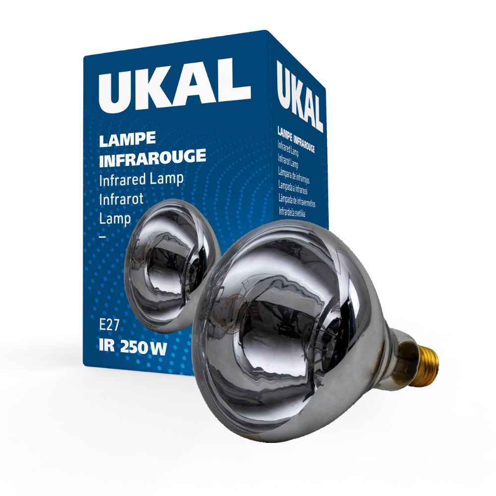 Ampoule infrarouge 250 W claire UKAL