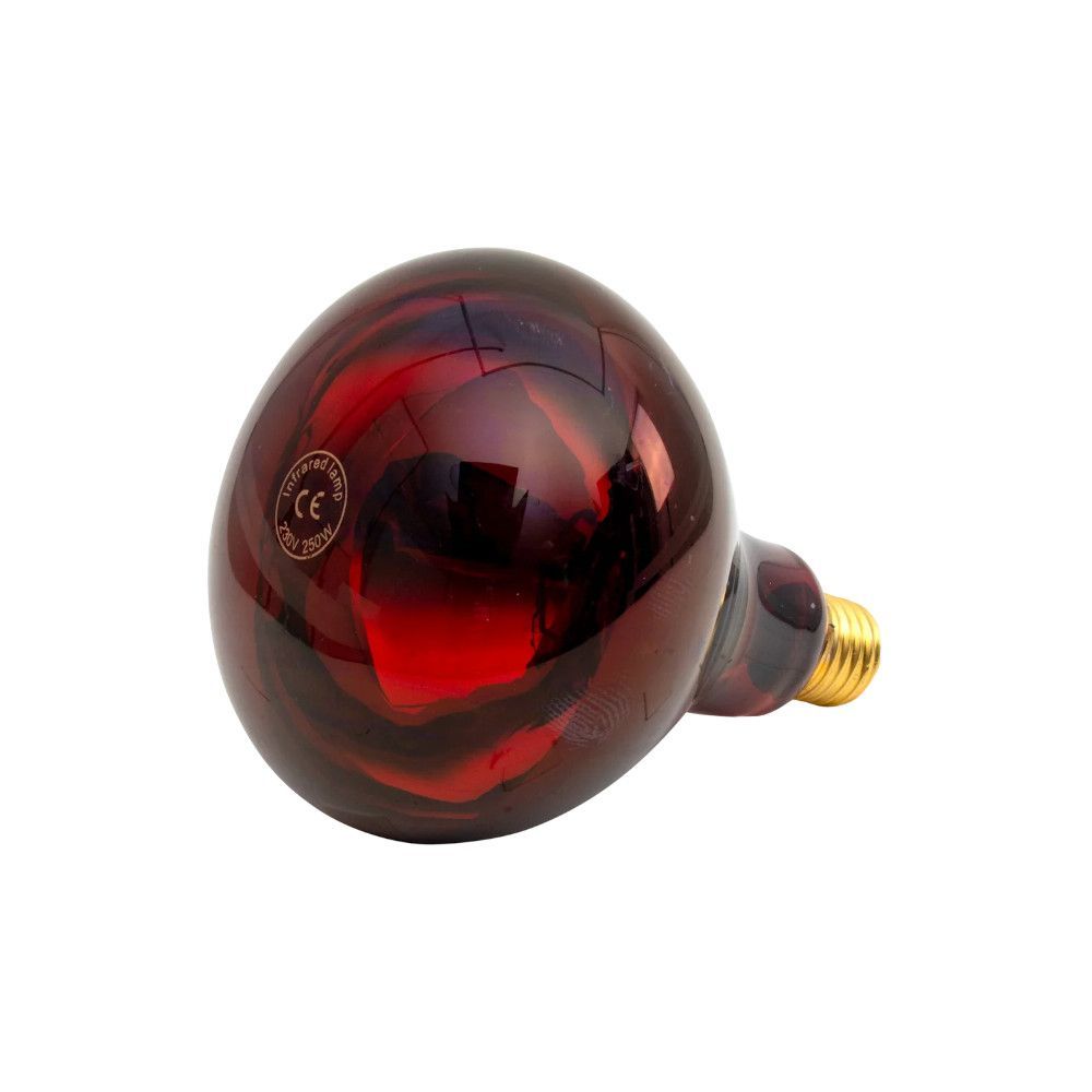 Ampoule infrarouge 250 W rouge UKAL