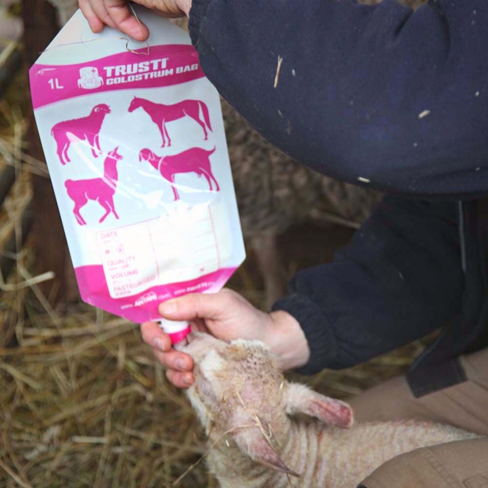10 sacs pour colostrum 1L pour agneaux ANTAHI