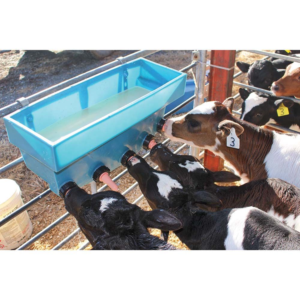 Bac d'allaitement compartimenté MM3 3 places 16L STALLION 