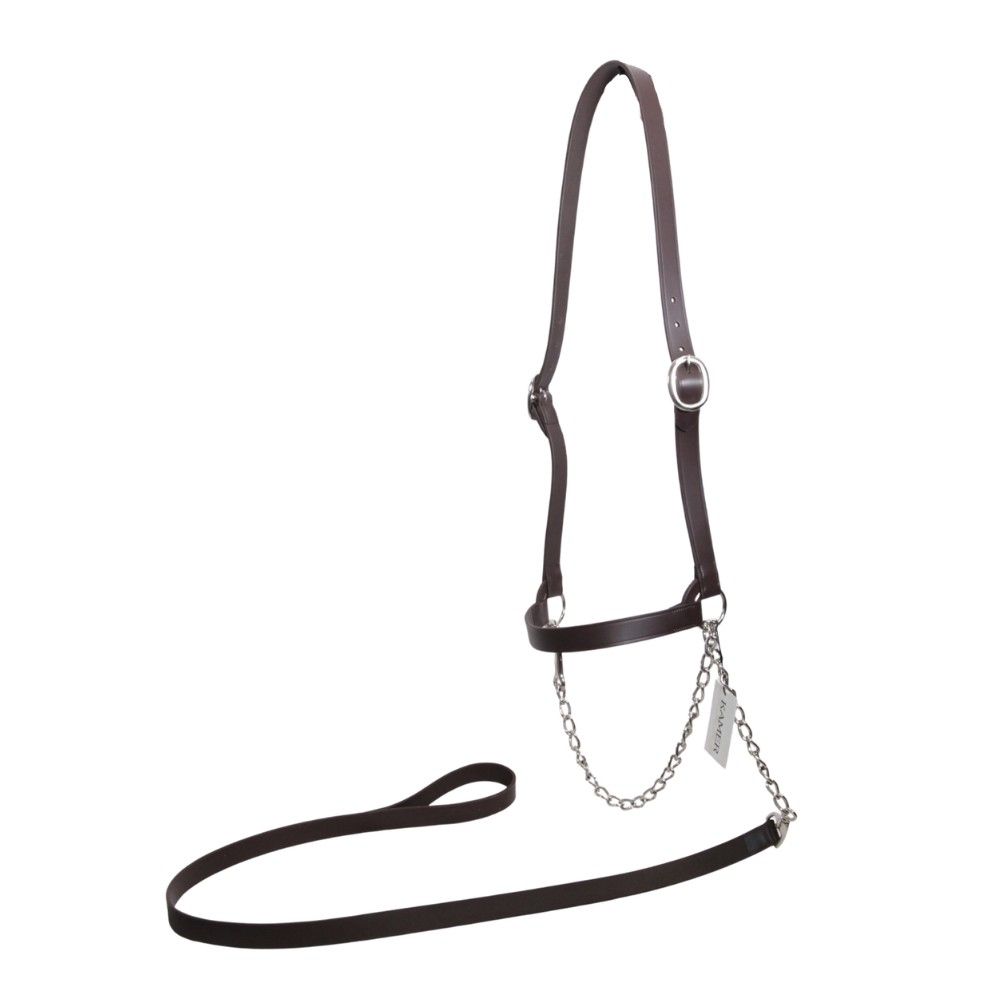 Licol américain en cuir marron pour vache laitière KAMER