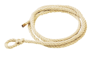 Longe beige PPTEX Ø 12 mm, 2,50 m 