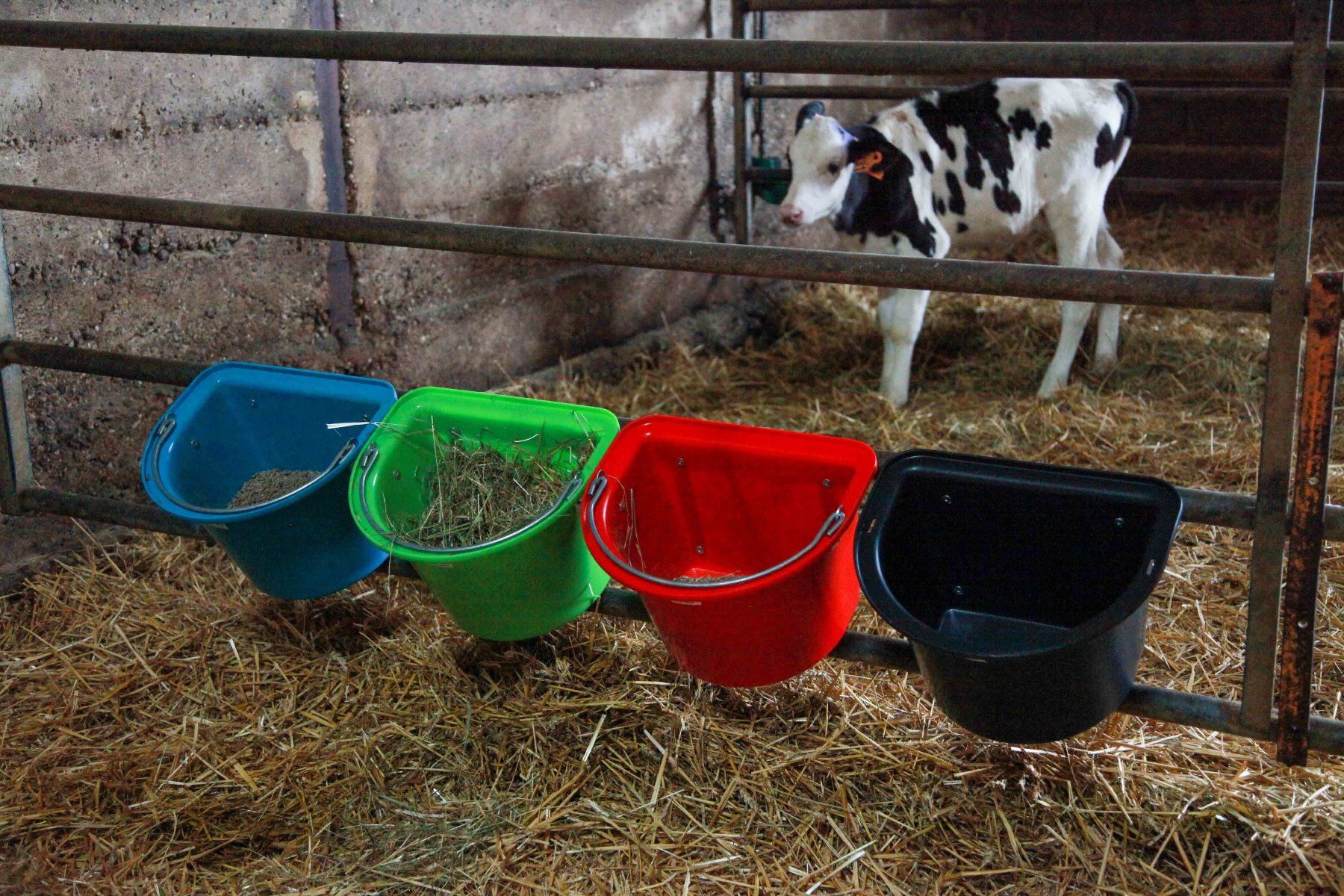 Mangeoire noire avec anse et crochets de suspension