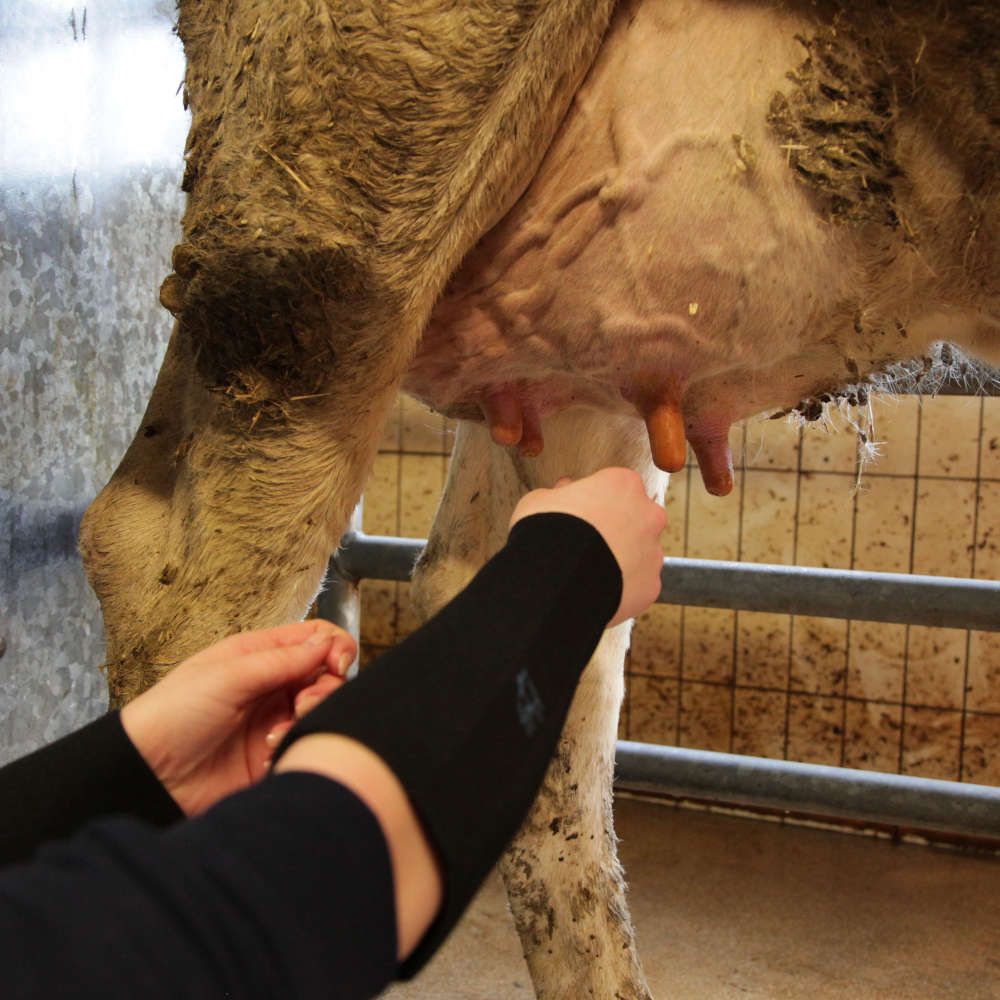Paire de Manchettes de protection en néoprène - L