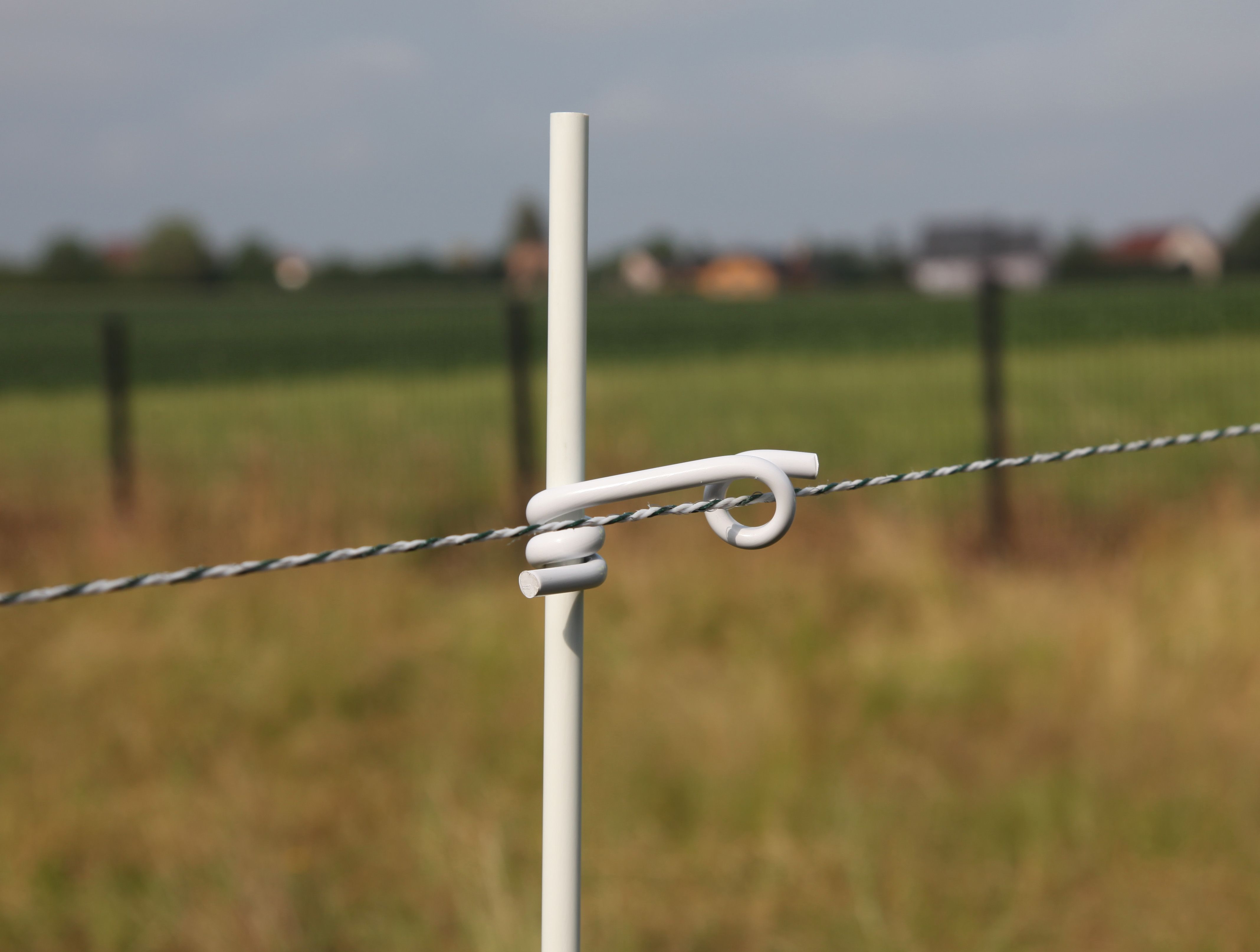 50 Isolateurs queue de cochon Ø 12 mm BEAUMONT