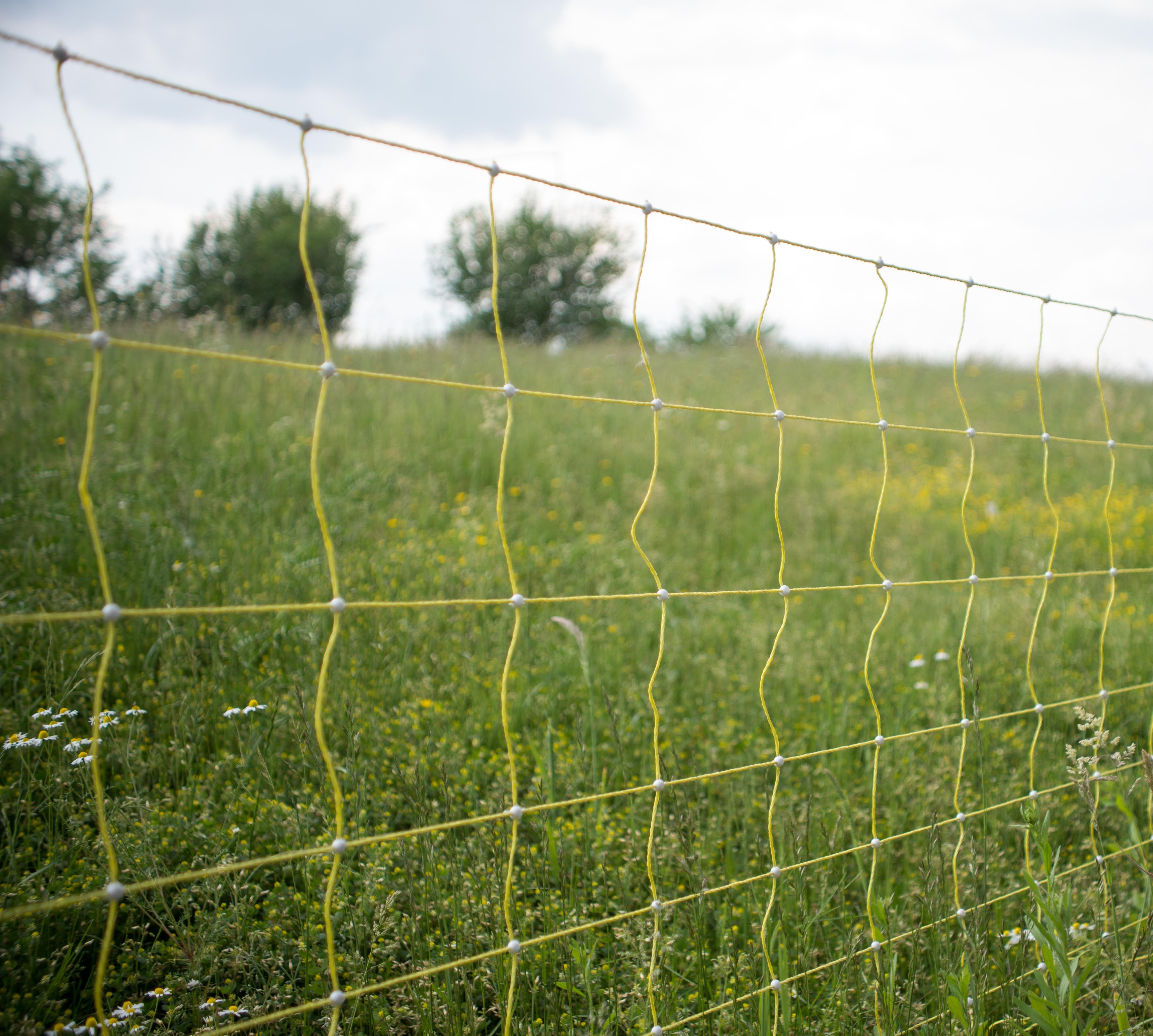 Filet électrifiable,0,90 m -50 m , pour mouton BEAUMONT