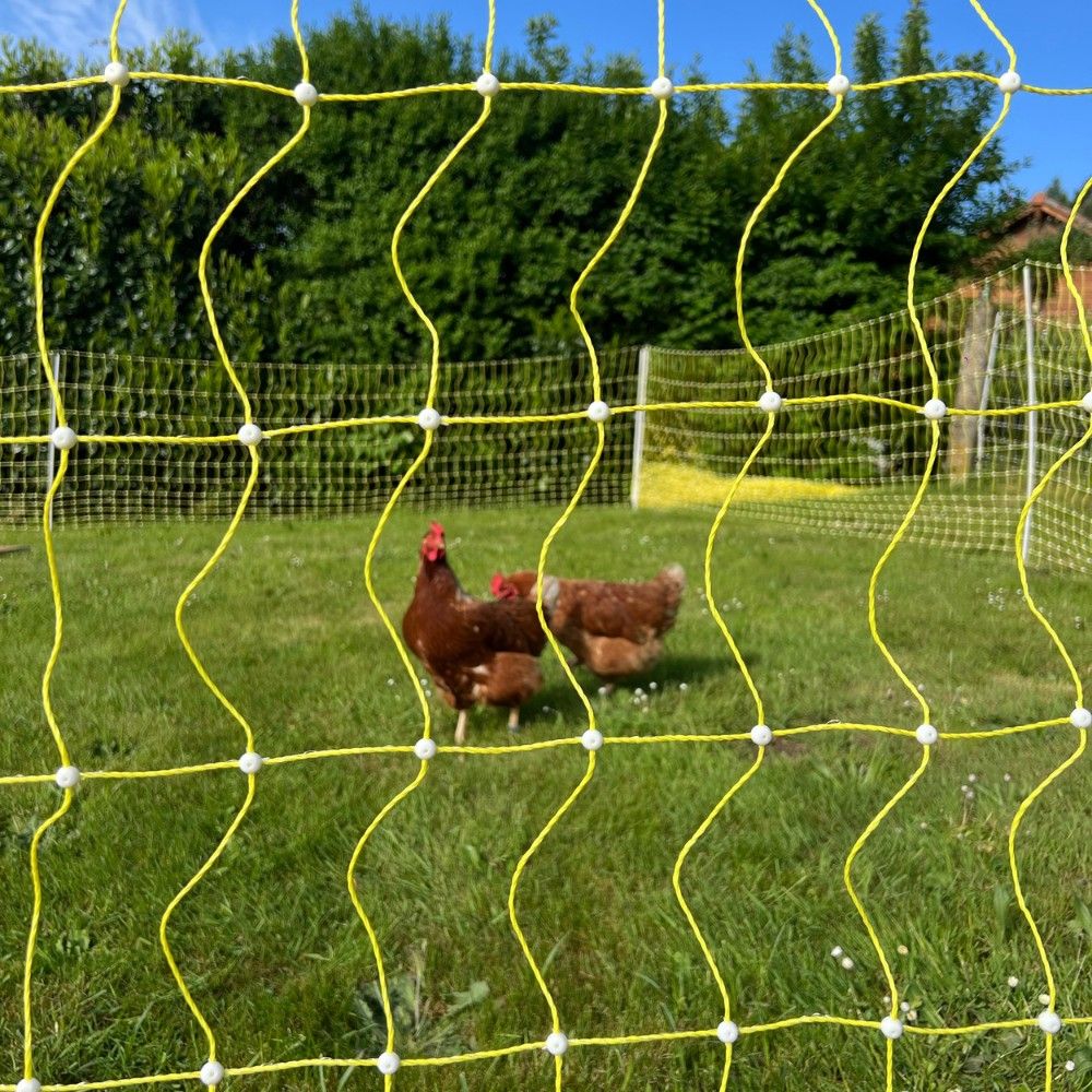 Filet électrifiable pour volaille 1,12 m - 50m  BEAUMONT