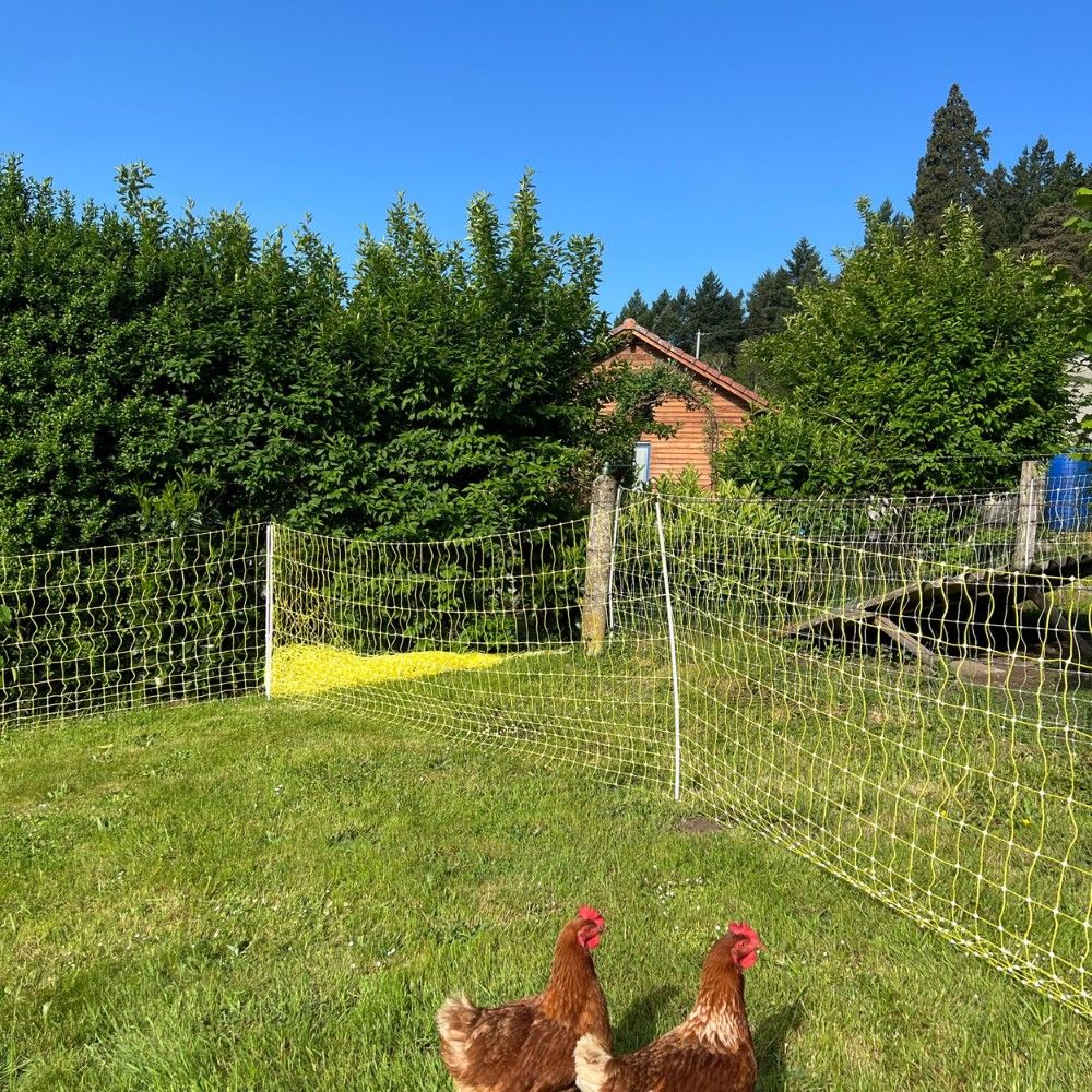 Filet électrifiable pour volaille 1,12 m - 50m  BEAUMONT