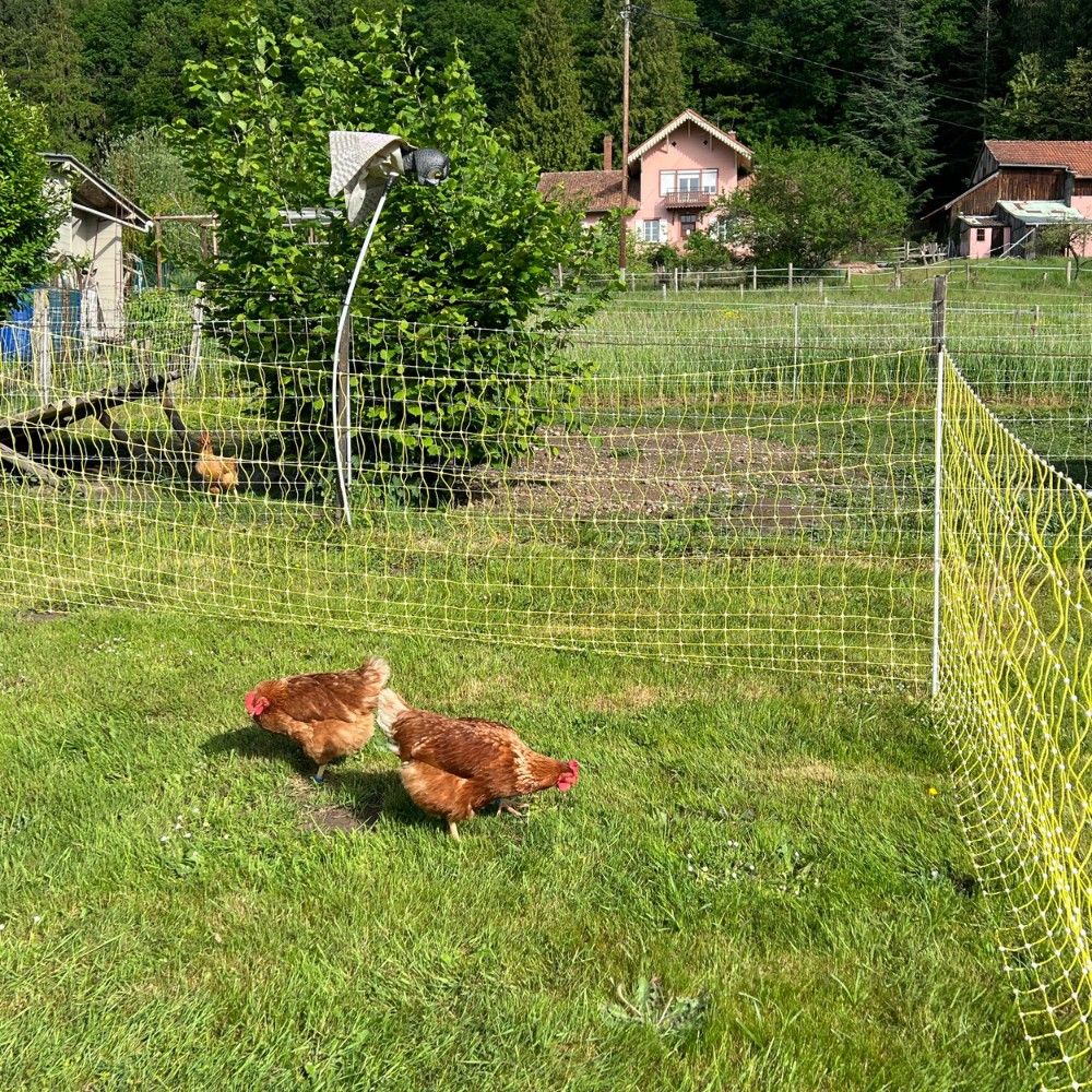 Filet électrifiable pour volaille 1,12 m - 50m  BEAUMONT