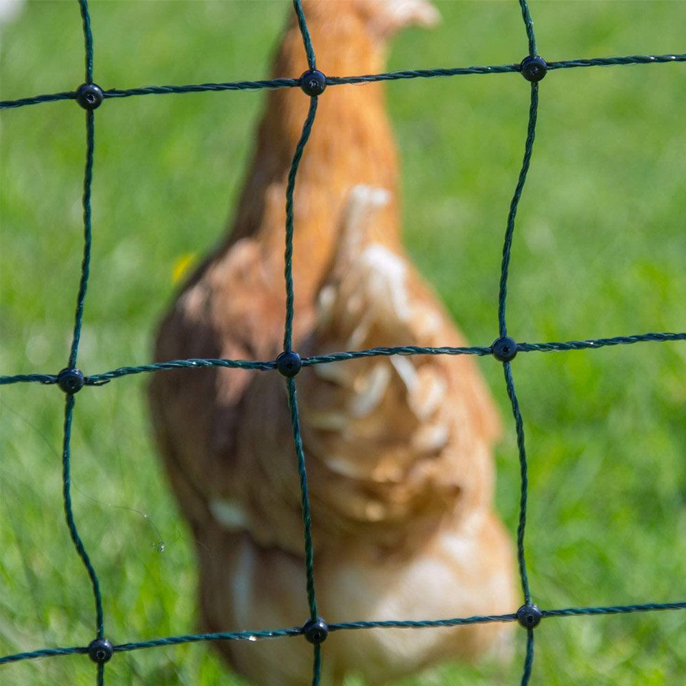 Filet volaille électrifiable, 1.20 x  50 m