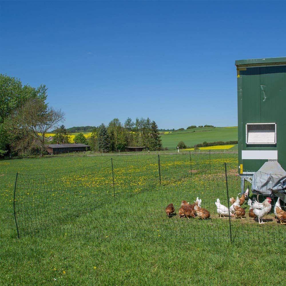 Filet volaille électrifiable, 1.20 x  50 m