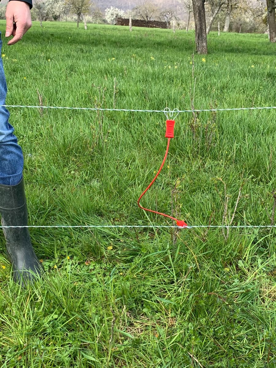 Câble interligne double cœur fils - Horizont   