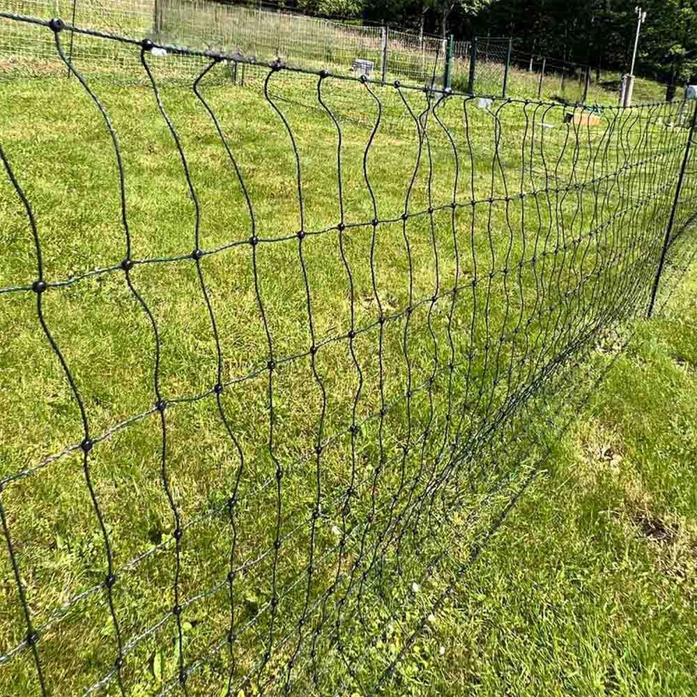 Filet volaille piquets renforcés, 1.10 x 50 m