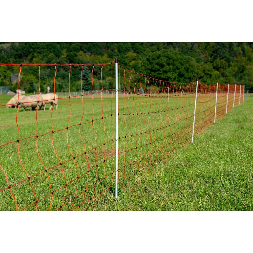 Filet mouton piquets renforcés, double pointe, 0.90 x 50 m