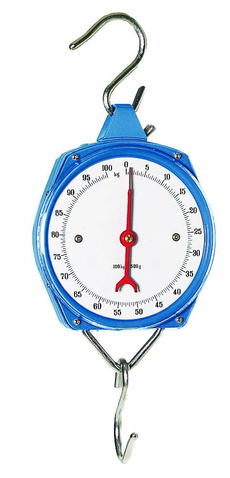 Peson dynamométrique KAMER