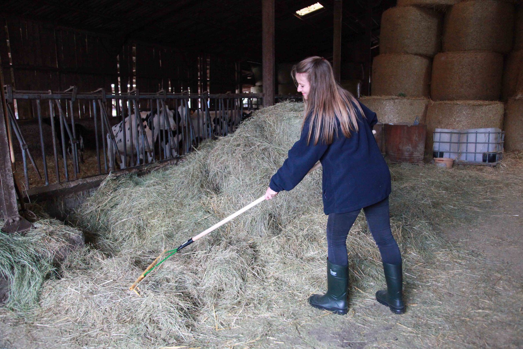 Râteau 16 dents 64 cm