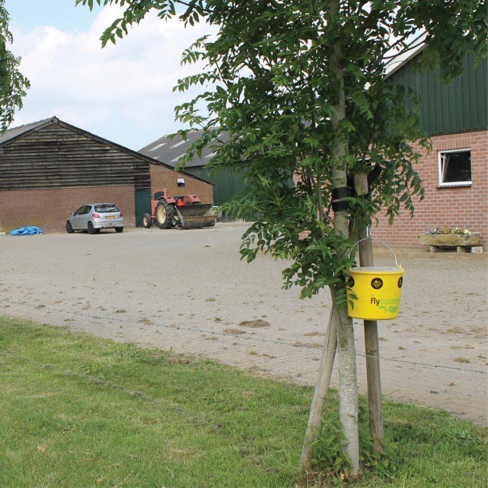 Seau piège à mouches Fly X 12 L + poudre attractive