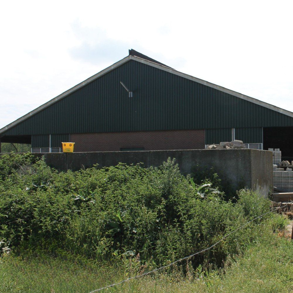 Seau piège à mouches Fly X 12 L + poudre attractive