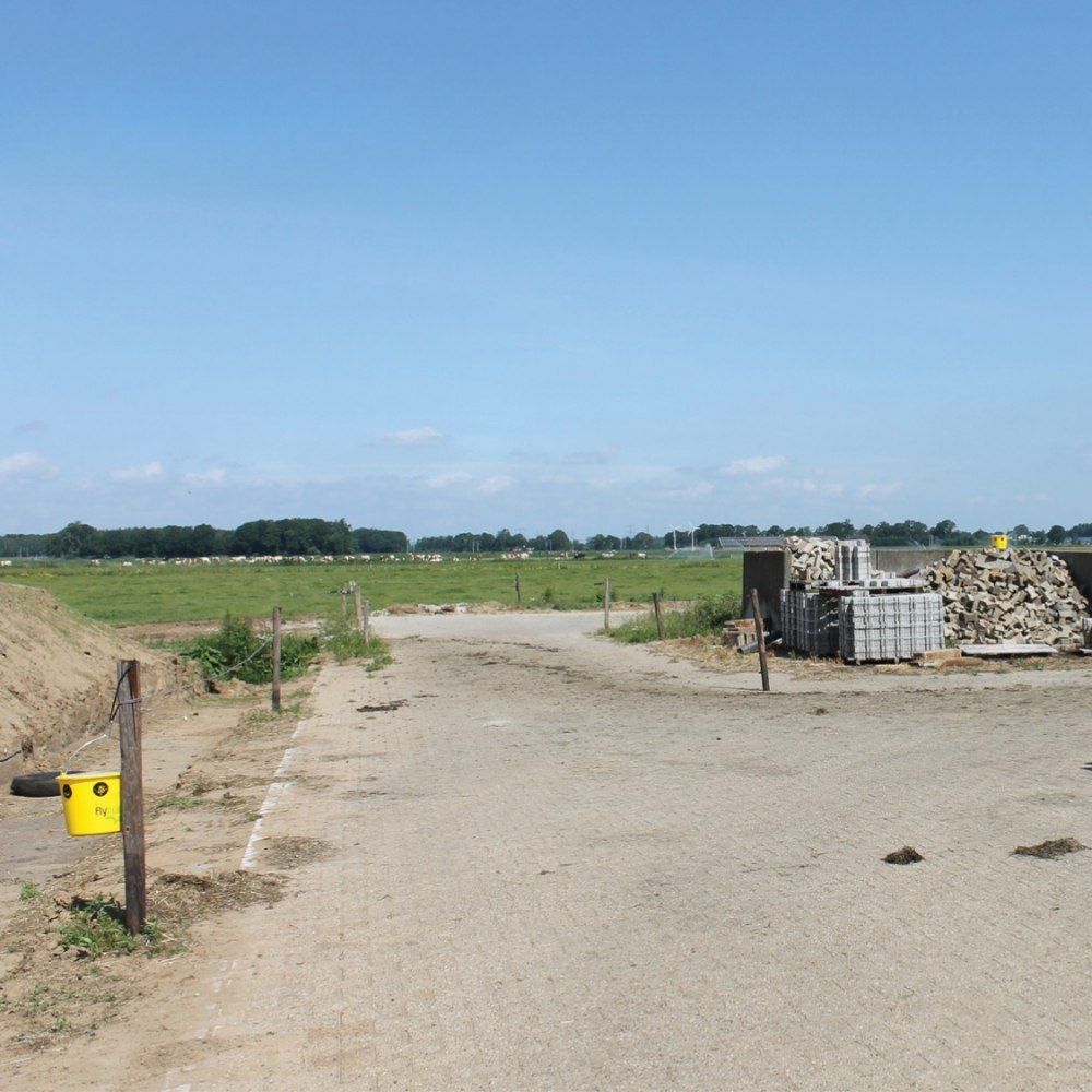 Seau piège à mouches Fly X 12 L + poudre attractive