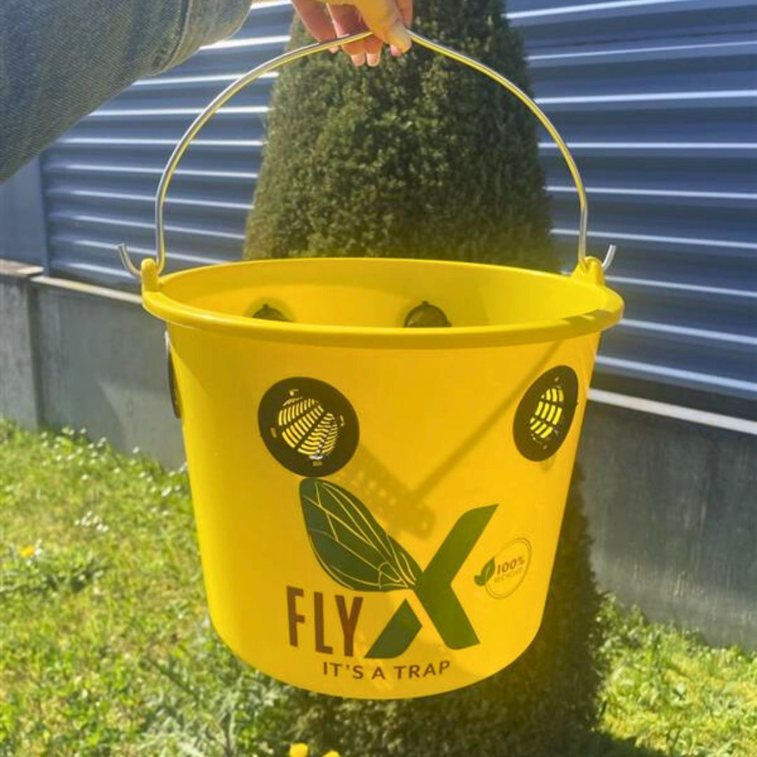 Seau piège à mouches Fly X 12 L + poudre attractive