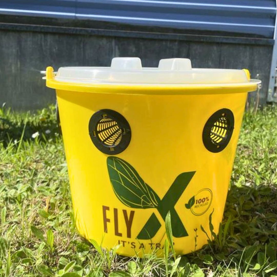 Seau piège à mouches Fly X 12 L + poudre attractive