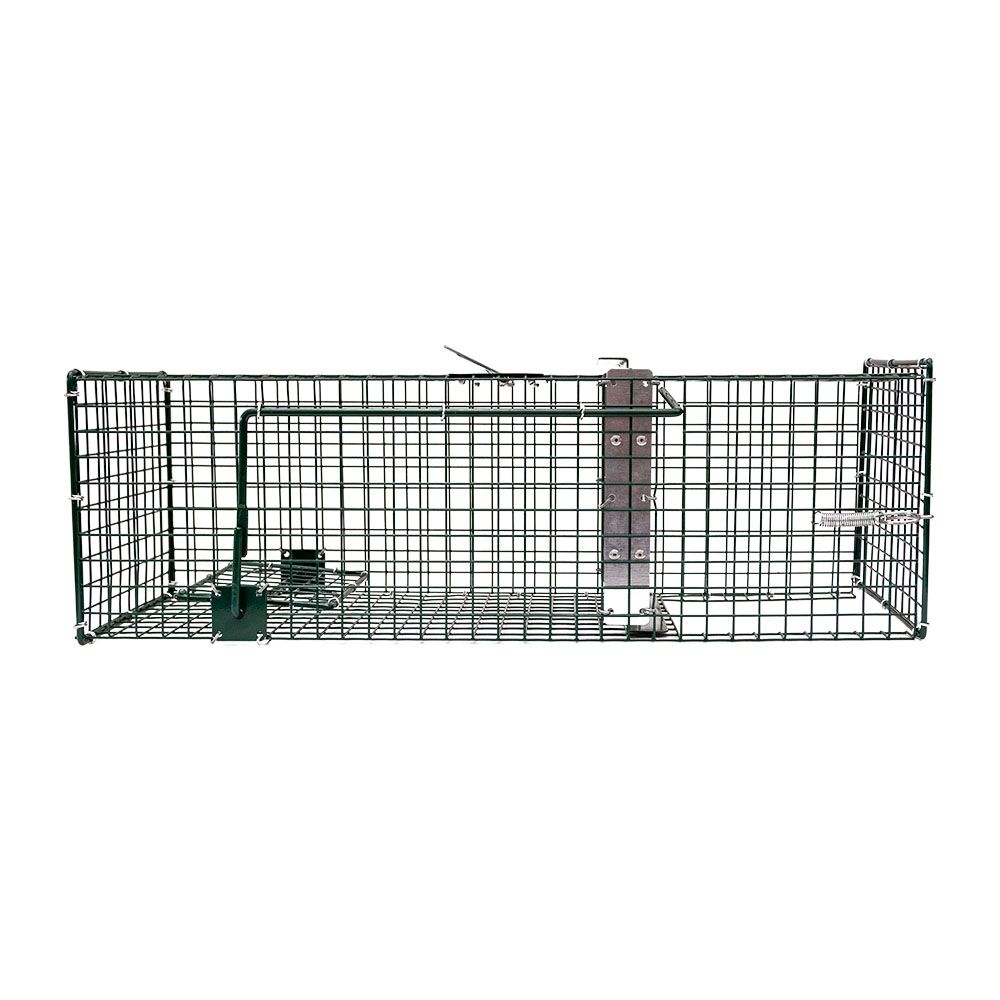 Cage à rats 1 entrée, 60 x 19 x 19 cm BOXTRAP