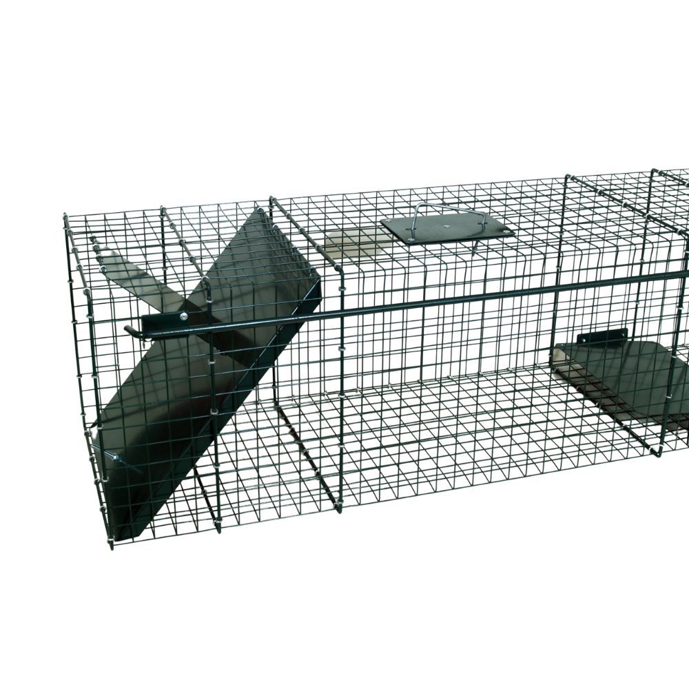 Piège pour raton laveur 1 entrée, 100 x 30 x 30 cm BOXTRAP